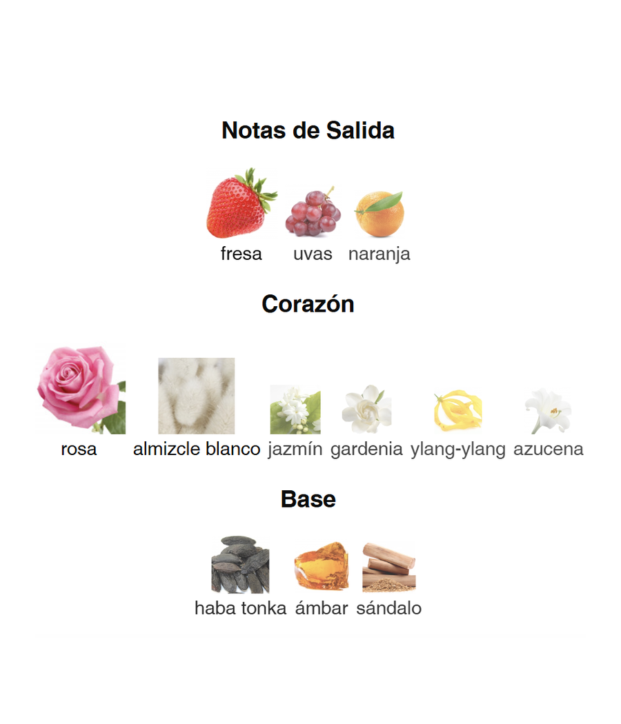 Lattafa Ameerat Al Arab Prive Rose 100 ml - Princesa De Arabia Rosa - Perfume Made in Dubai  Perfume para mujer